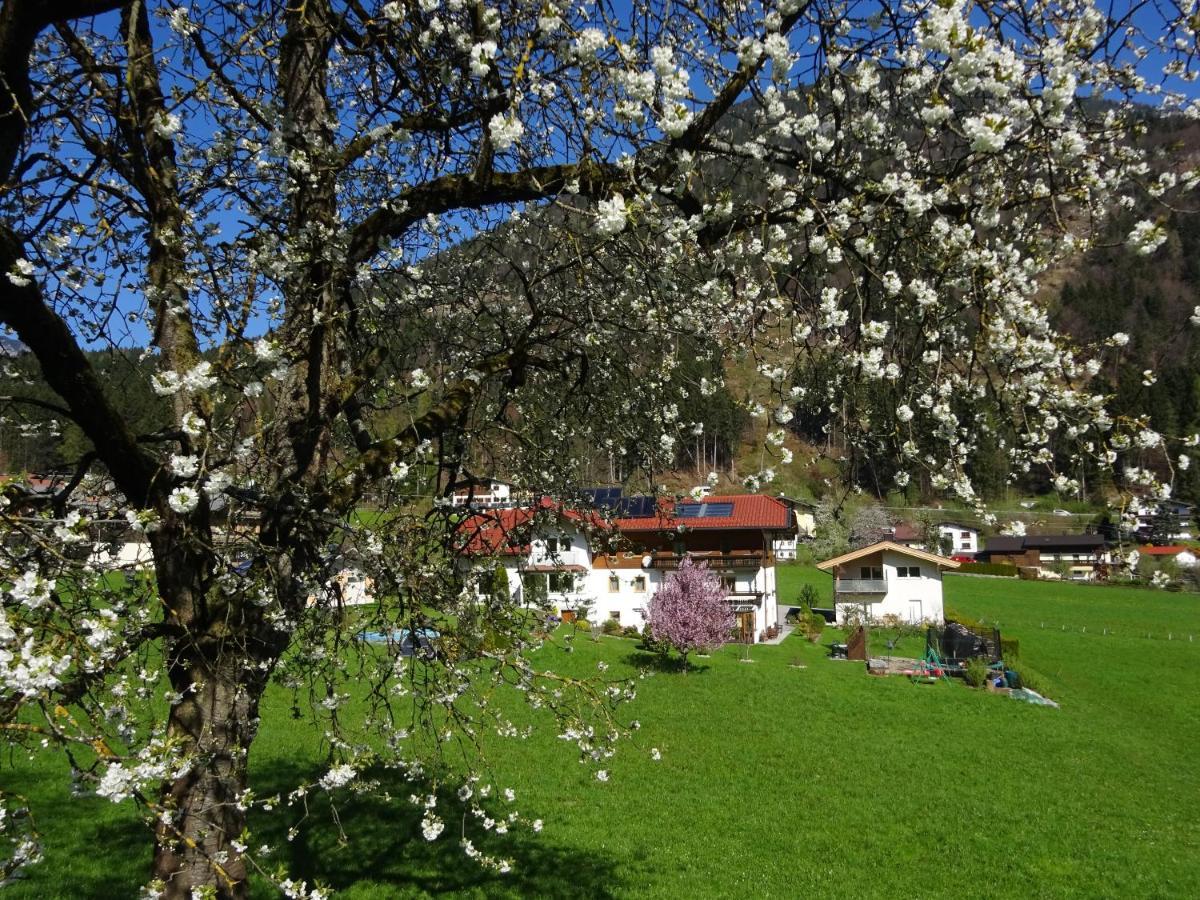 Landhaus Alpenblick 韦兴 外观 照片